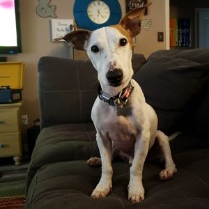 Meet your Posher, Kristen